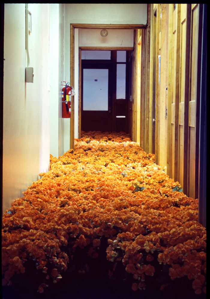 Image of flowers