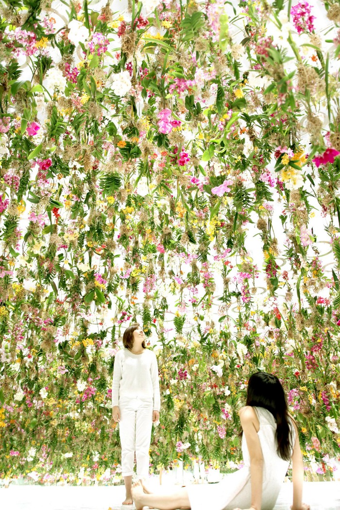 Image of flowers