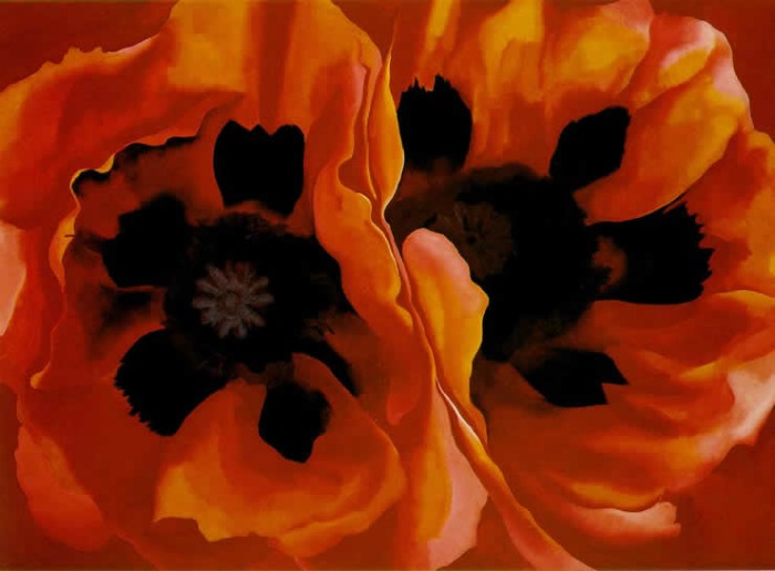 Image of flowers