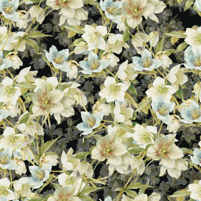 An image of floral artwork by rainbowpixels