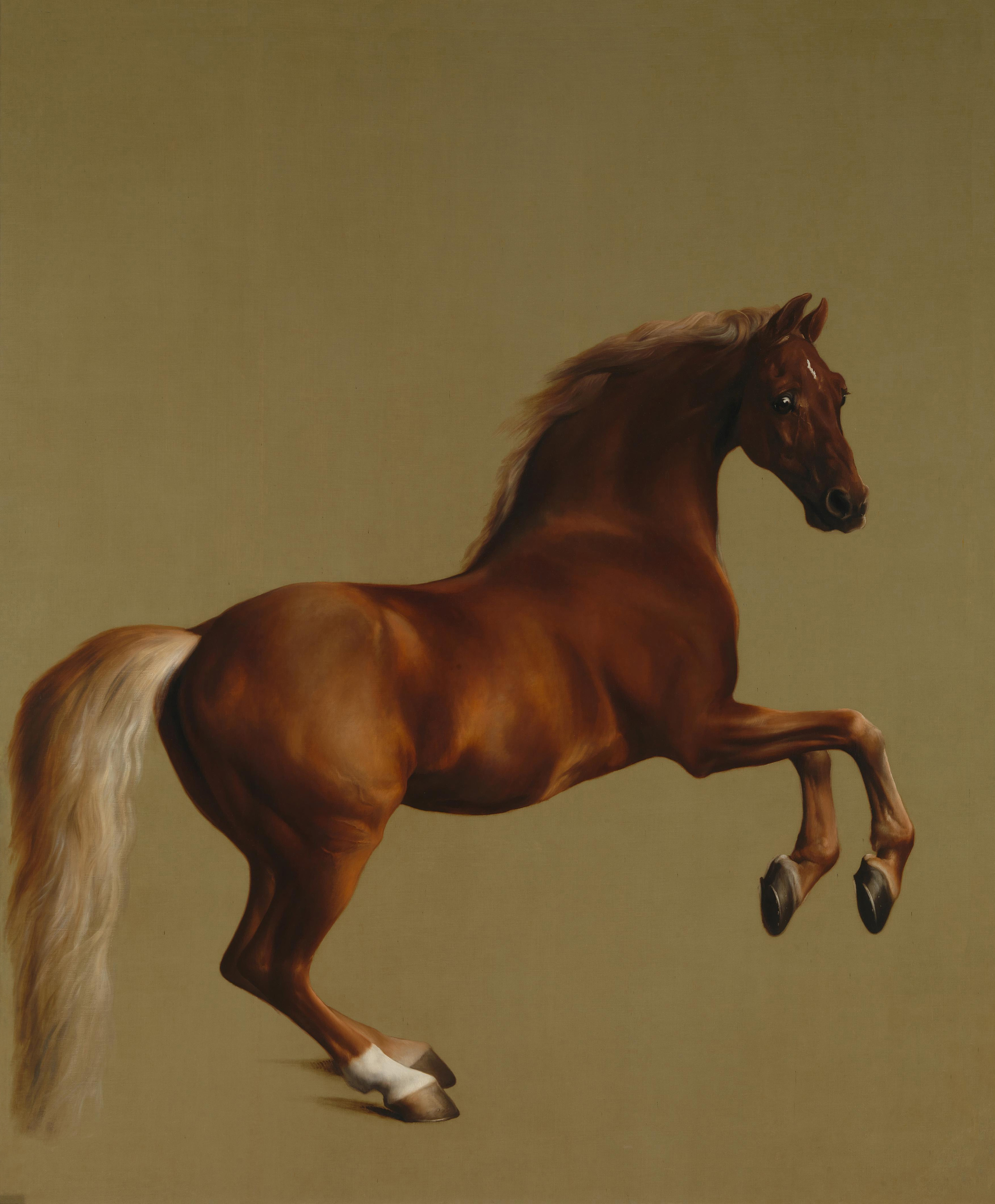 whistlejacket-george-stubbs