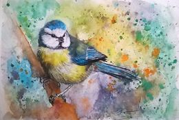 watercolour bluetit